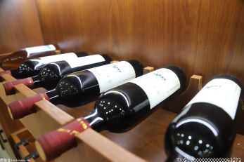 抓住进博会的红利期 智利葡萄酒销量呈上升趋势