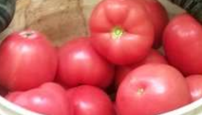 西红柿怎么储存？西红柿能放在冰箱里面冷藏吗？