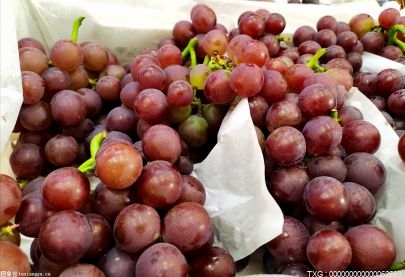 夏黑葡萄的口感怎么样？葡萄有哪些品种？